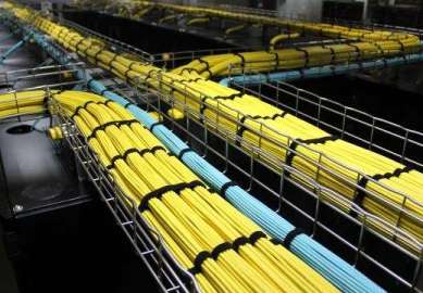 �M(j��n)�оW(w��ng)�j(lu��)�����ă�(y��u)��(sh��)����Щ